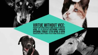 Photo of Virtue without Vice: Exhibition Fundraiser for ACF Animal Rescue