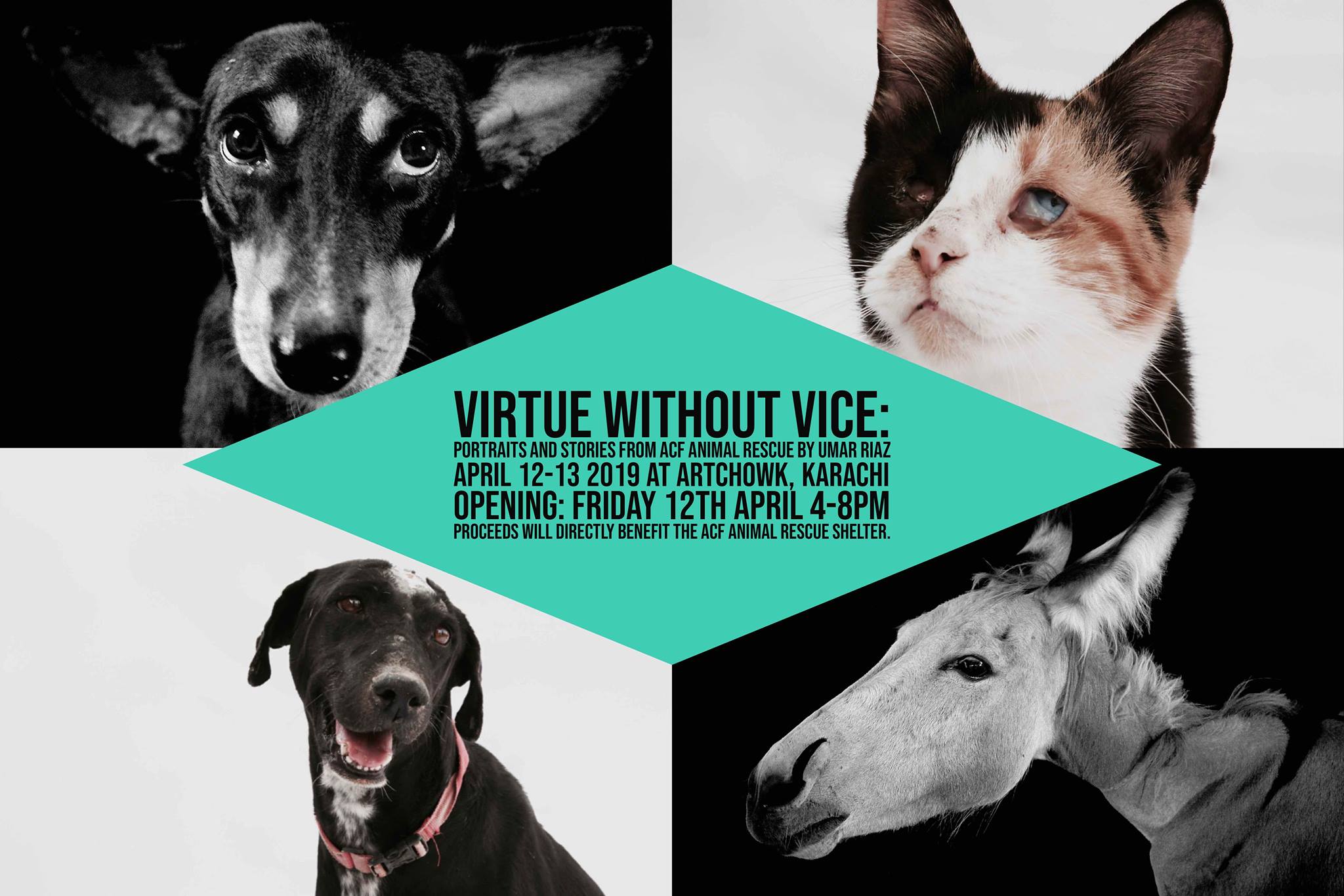 animal exhibition fundraiser virtue without vice karachi