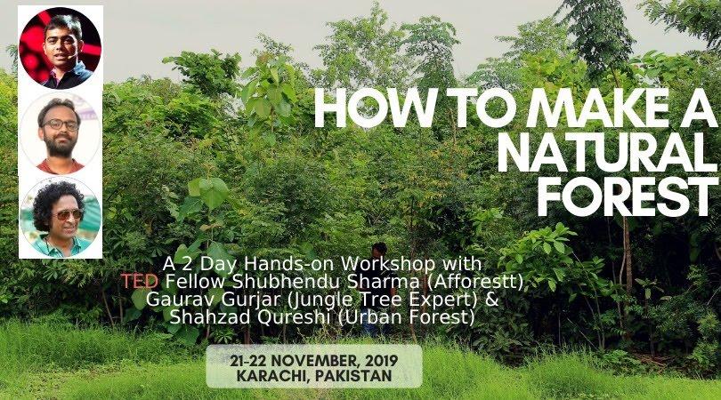 Urban Forest | How To Make A Natural Forest