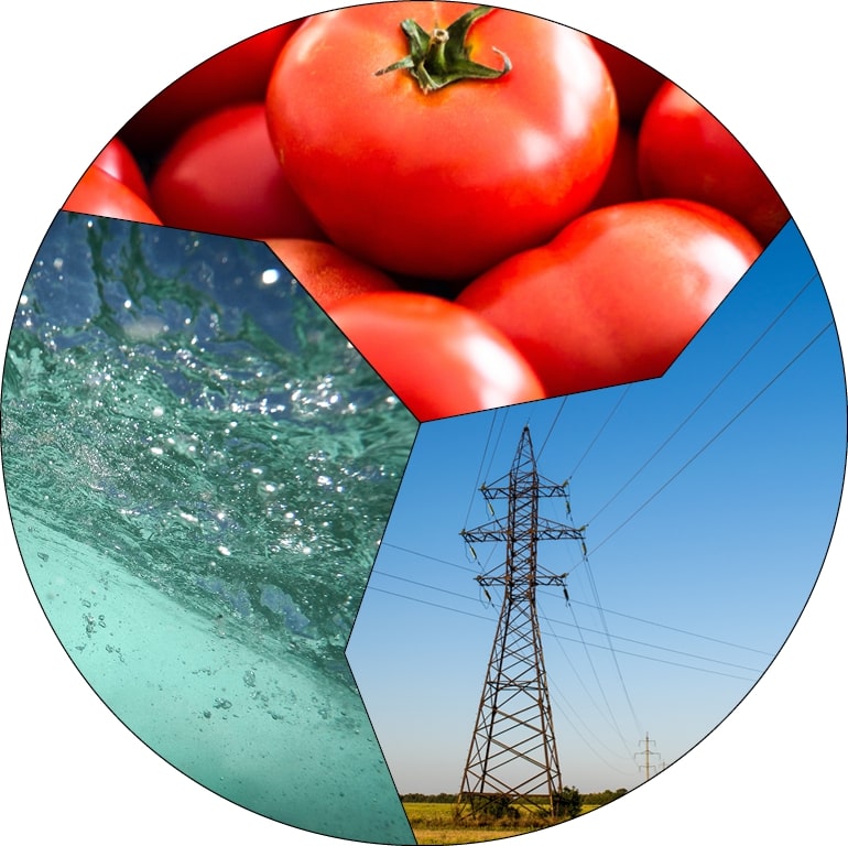 water energy and food
