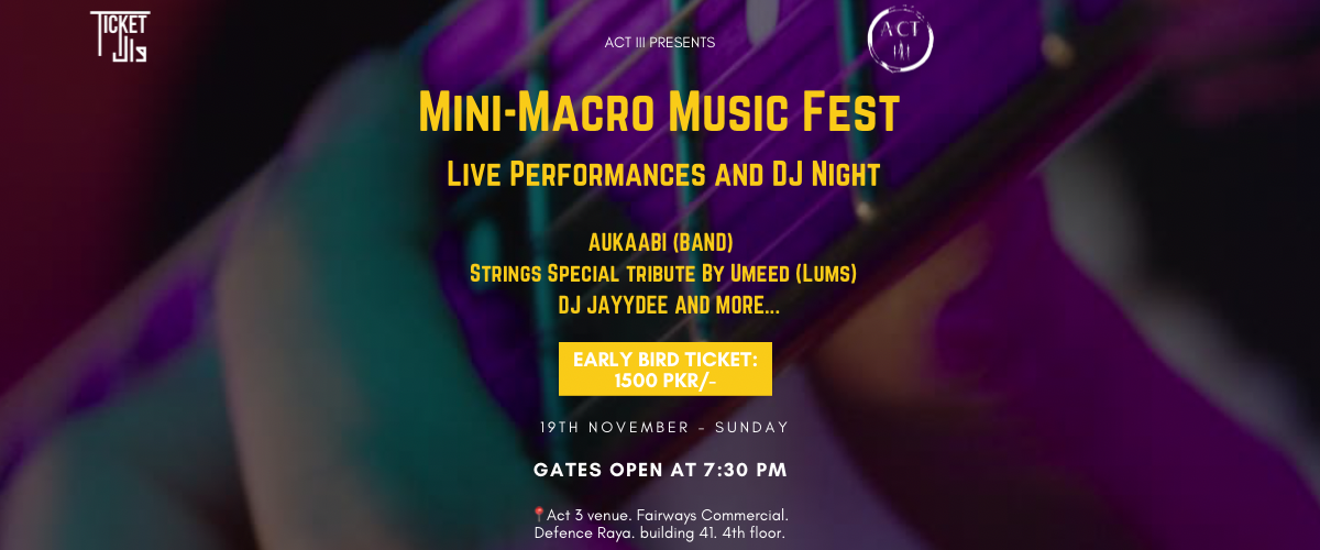 Mini-Macro Music Fest