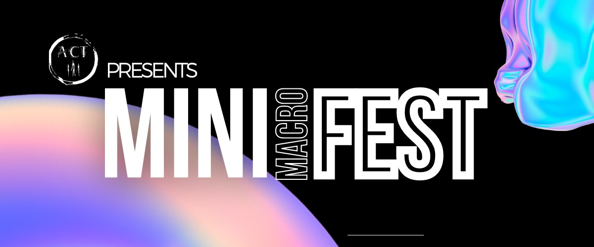 Mini Macro Music Fest